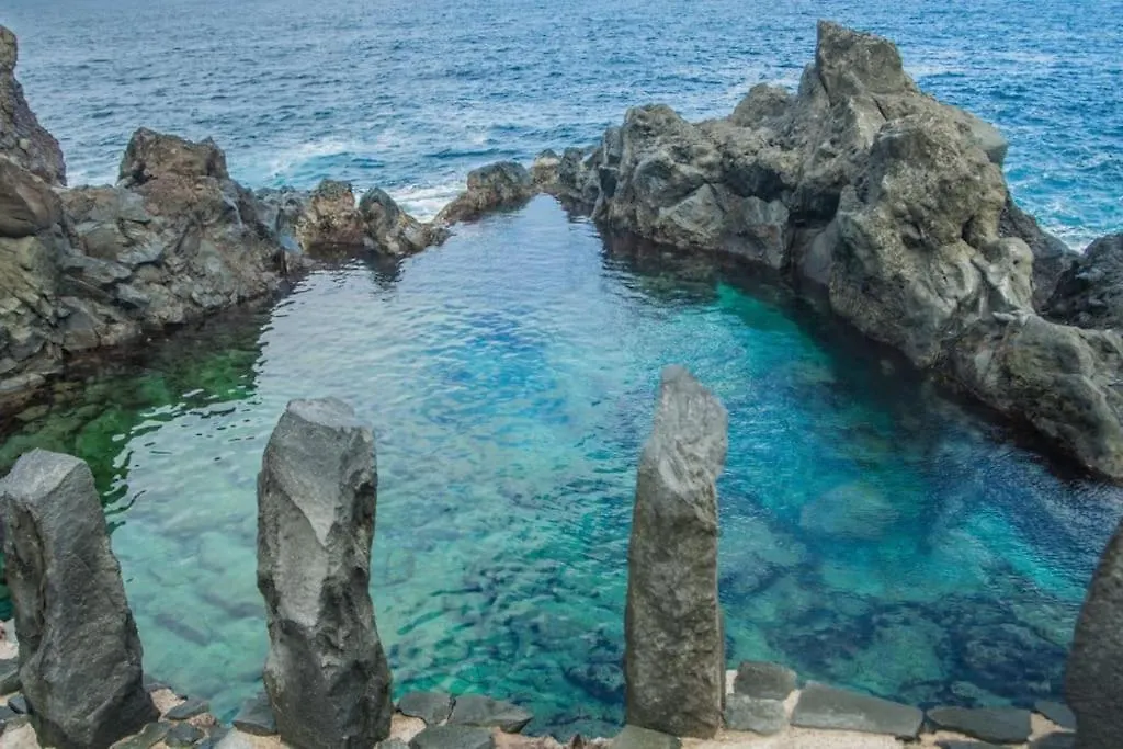 Musa Paradisiaca Las Aguas 스페인